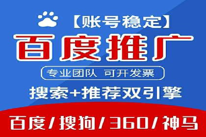 百度推广费用投入与品牌知名度提升的案例分析